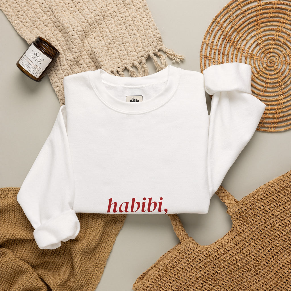 Model wearing the Habibi, It's Complicated crewneck sweatshirt