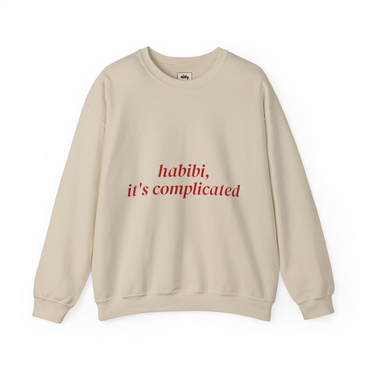 Back view of the Habibi, It's Complicated crewneck sweatshirt