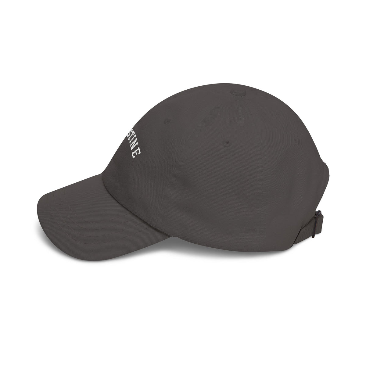 Palestine Varsity Embroidered Cap
