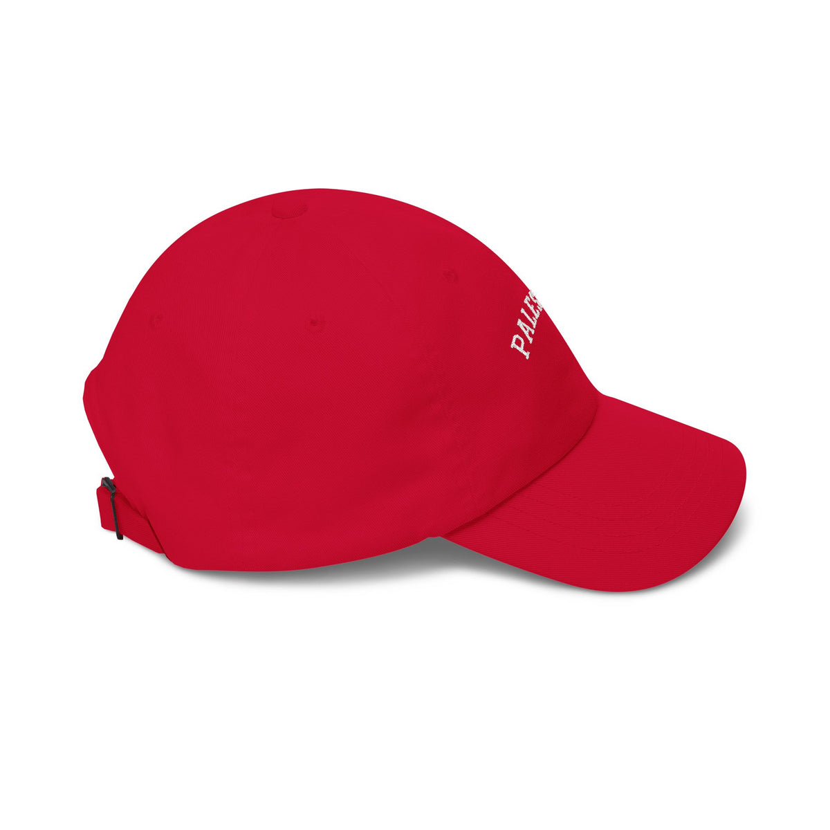 Palestine Varsity Embroidered Cap