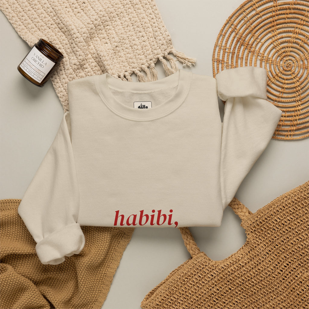 Person wearing the Habibi, It's Complicated crewneck sweatshirt, standing