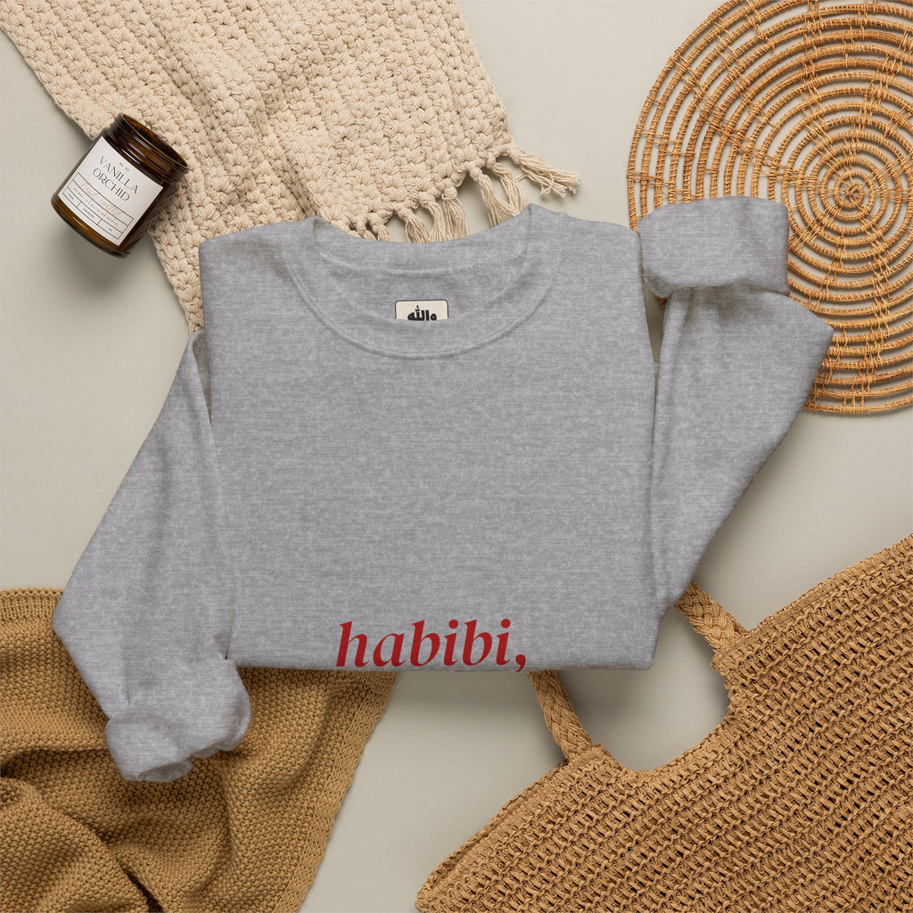 Habibi, It's Complicated crewneck sweatshirt in sand and sport grey