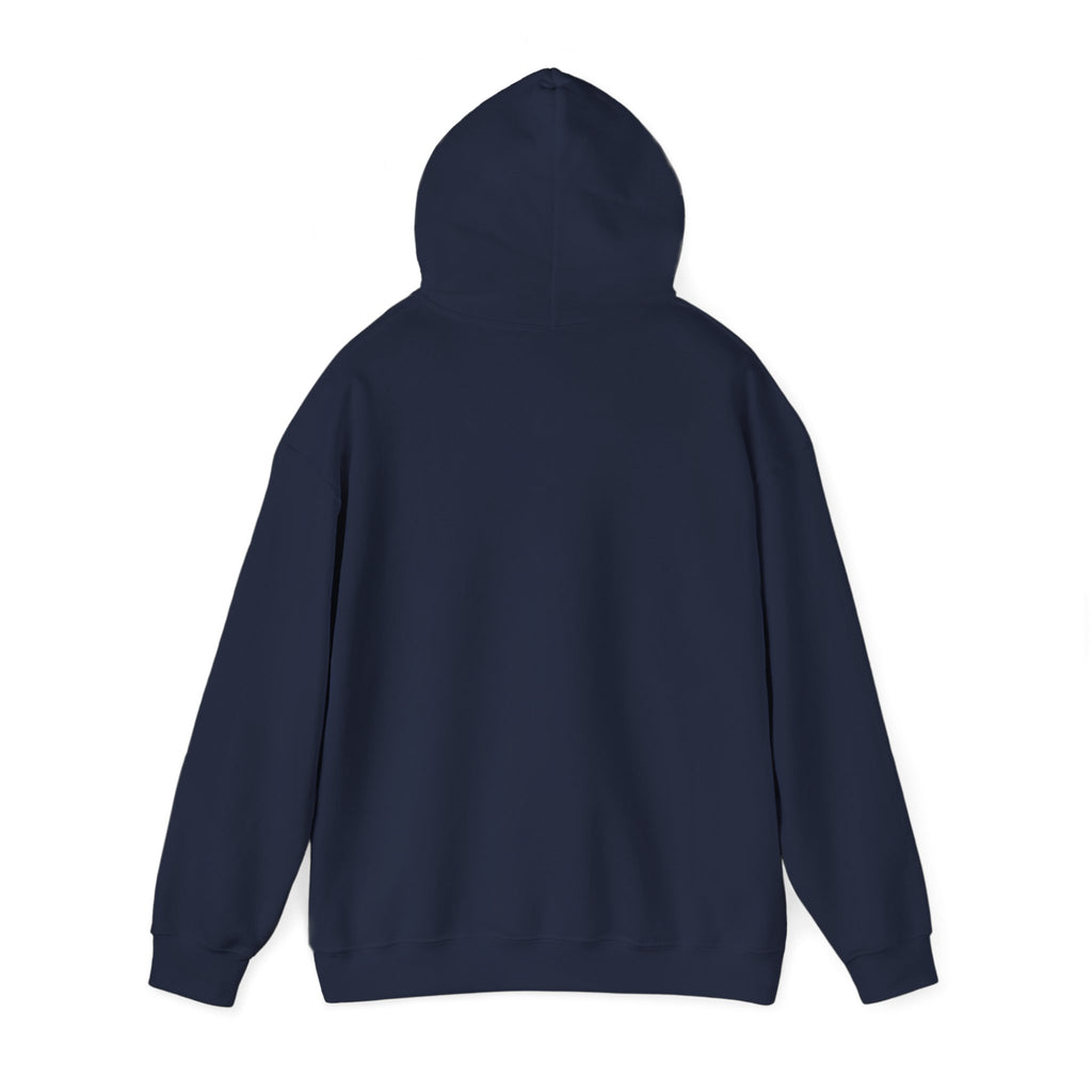 "Habibi Airlines" Boarding Pass Hoodie